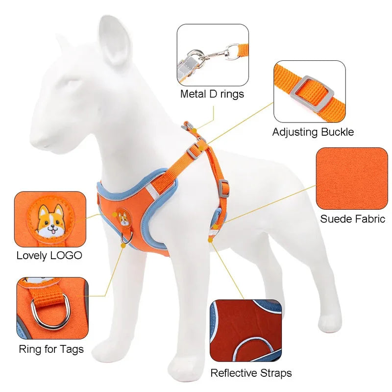 Adjustable Reflective Dog Harness & Leash Set