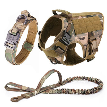 Large Dog Training Harness & Leash Set