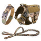 Large Dog Training Harness & Leash Set