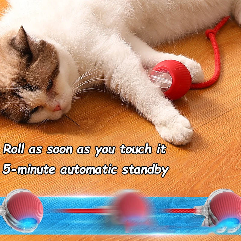 2‑Pack Interactive Rolling Cat Toys – Rechargeable Smart Balls with Faux Tail & Mouse‑Like Movement
