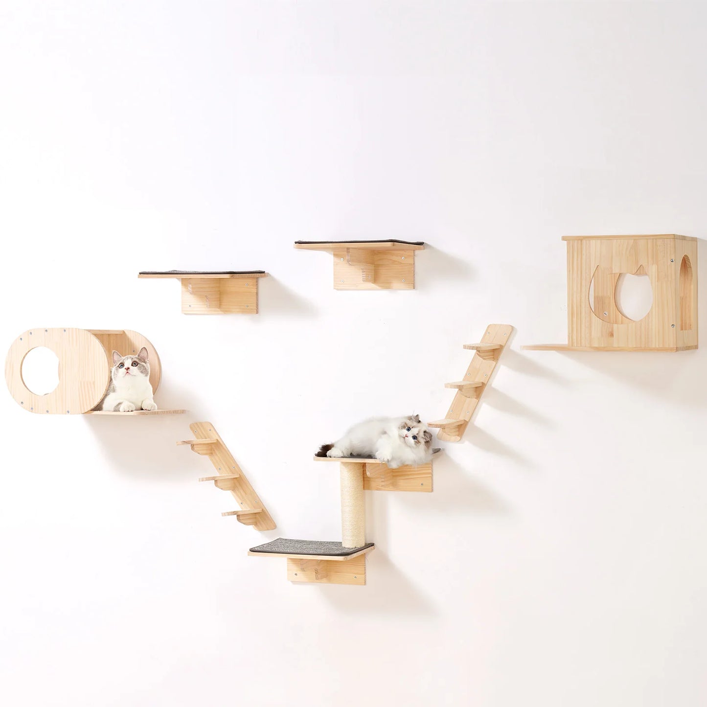Wall‑Mounted Cat Shelves – Cat Wall Perches with Jumping Boards, Hammocks & Climbing Tree Furniture