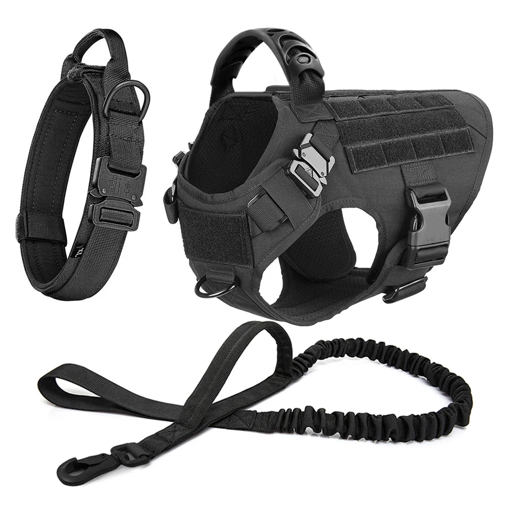 Large Dog Training Harness & Leash Set