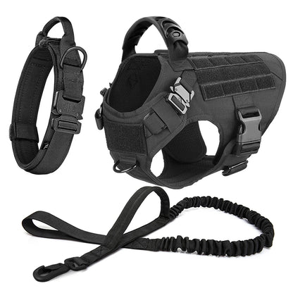 Large Dog Training Harness & Leash Set