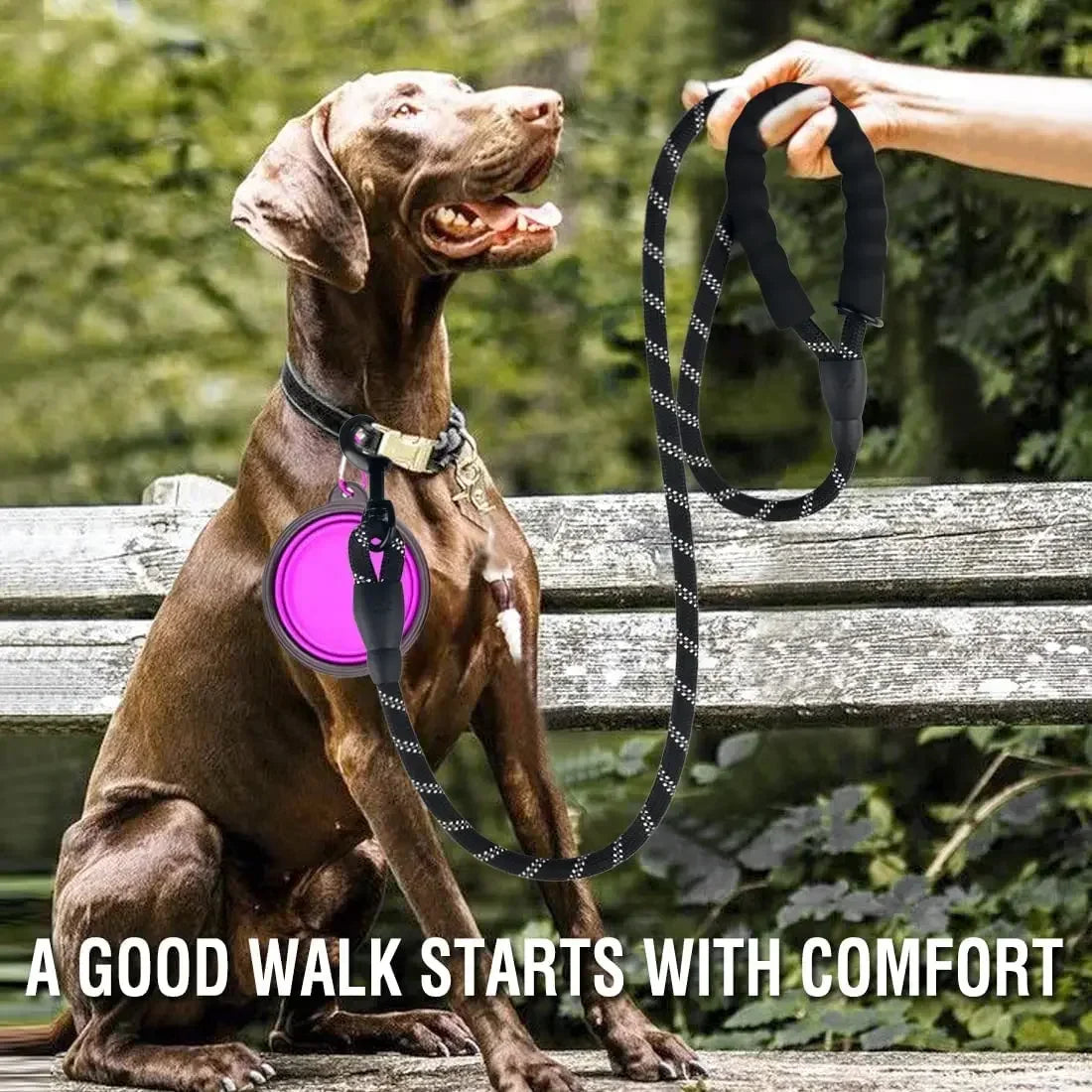 Strong Reflective Dog Leash – Durable Pull‑Resistant Lead for Small, Medium & Large Dogs