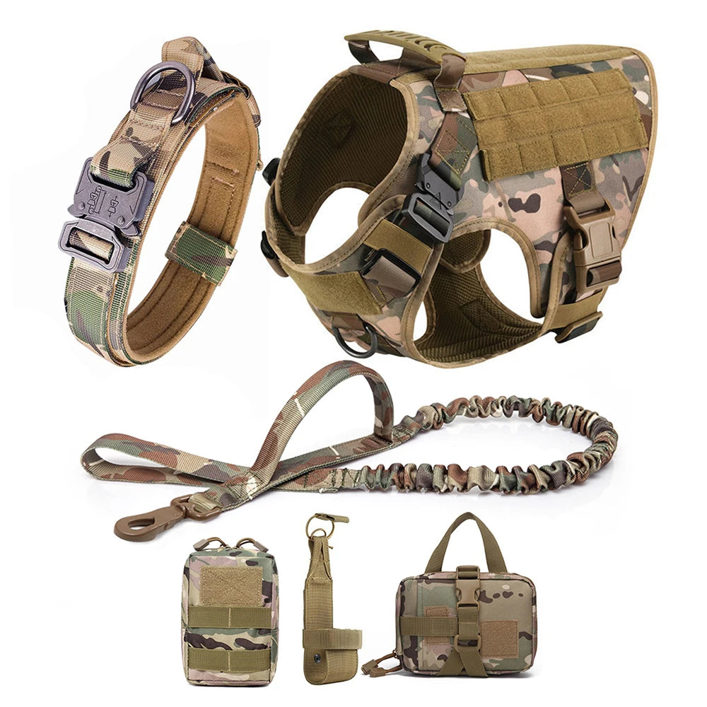 Large Dog Training Harness & Leash Set