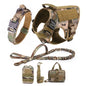 Large Dog Training Harness & Leash Set
