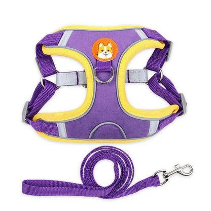 Adjustable Reflective Dog Harness & Leash Set