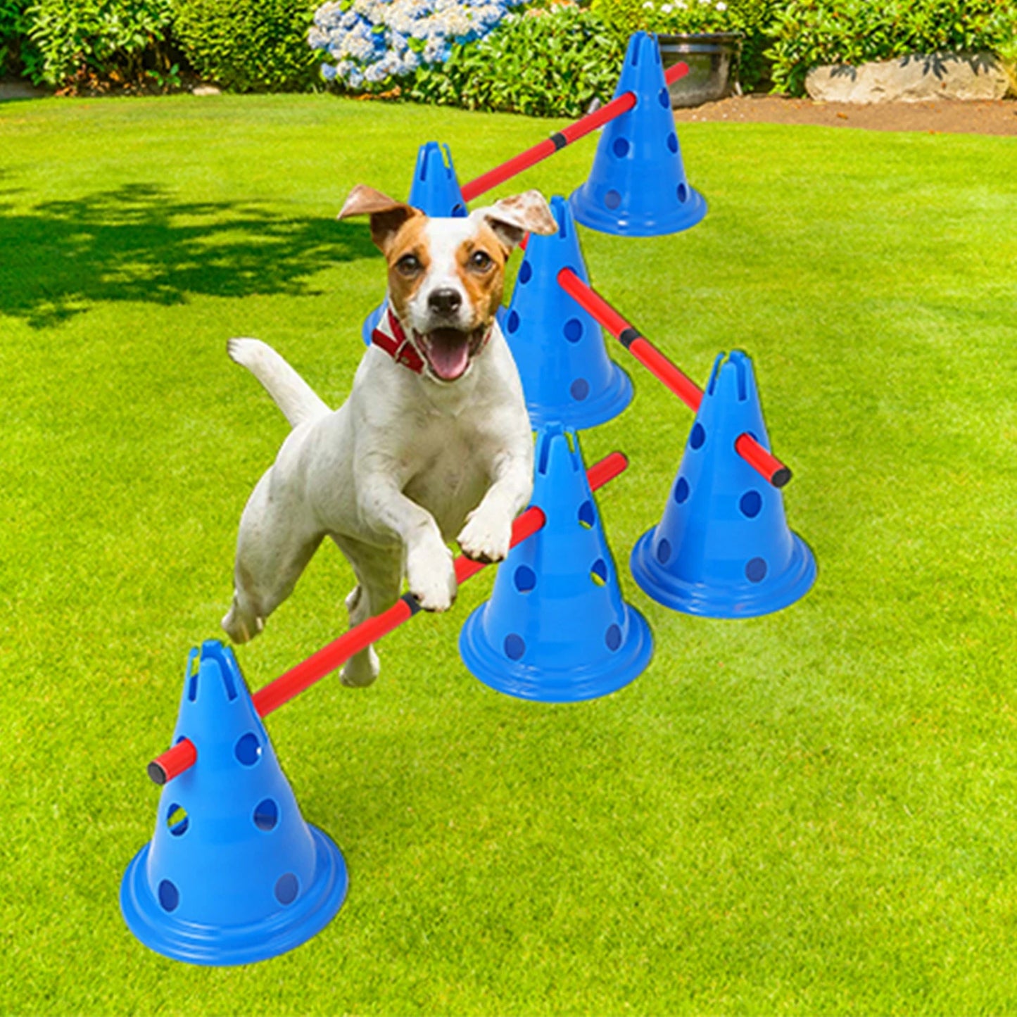 Dog Agility Hurdle Cone Set – Backyard Training Course with 12 Cones & 6 Adjustable Agility Rods