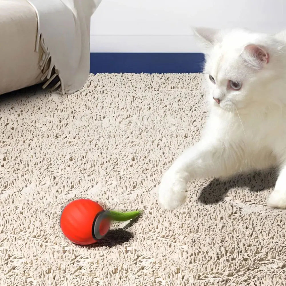 Automatic Moving Cat Toy Ball – USB‑Rechargeable Smart Interactive Ball with Speedy Tail for Active Indoor Cats