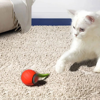 Automatic Moving Cat Toy Ball – USB‑Rechargeable Smart Interactive Ball with Speedy Tail for Active Indoor Cats
