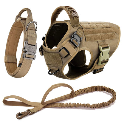 Large Dog Training Harness & Leash Set