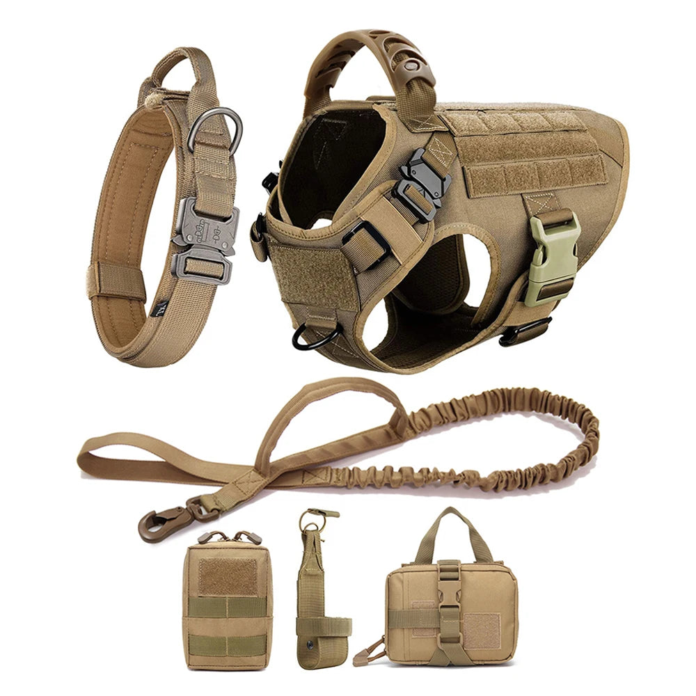 Large Dog Training Harness & Leash Set
