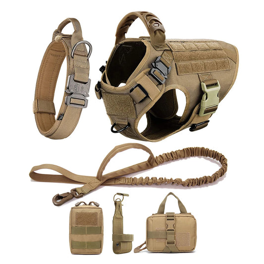 Large Dog Training Harness & Leash Set