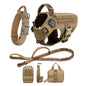 Large Dog Training Harness & Leash Set
