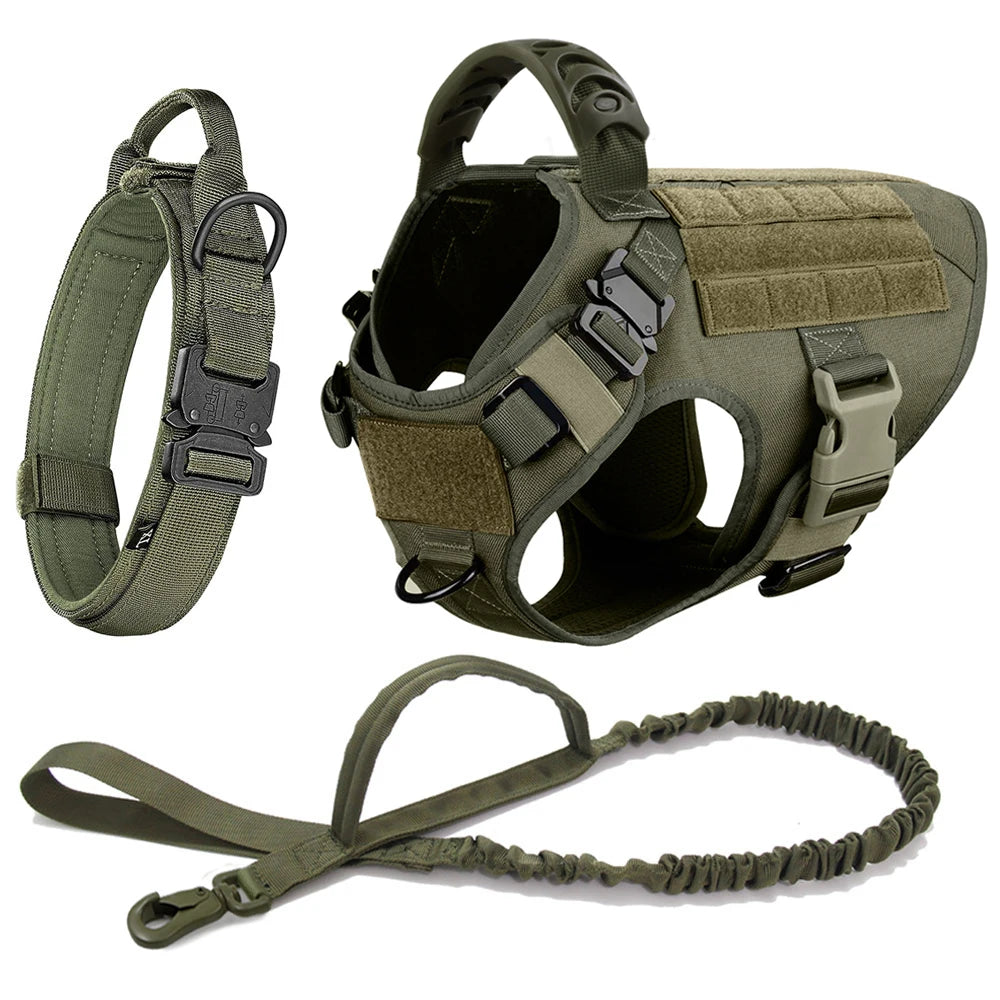 Large Dog Training Harness & Leash Set
