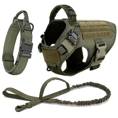 Large Dog Training Harness & Leash Set